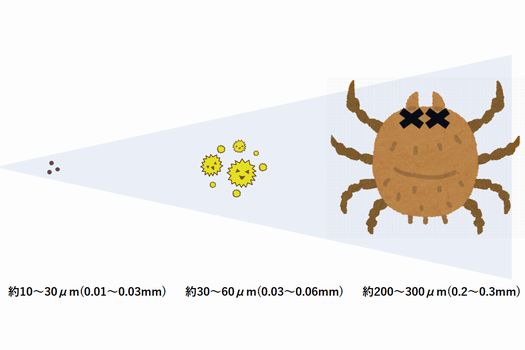 ハウスダスト（ダニ、花粉、ダニの死がい・フン）の大きさ比較
