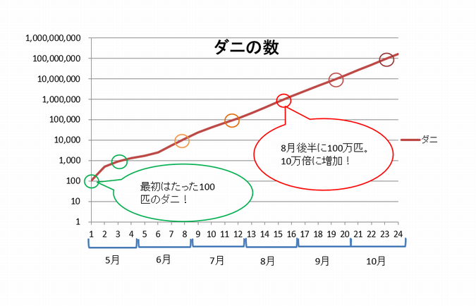 お部屋のダニの増加数を表したグラフ
